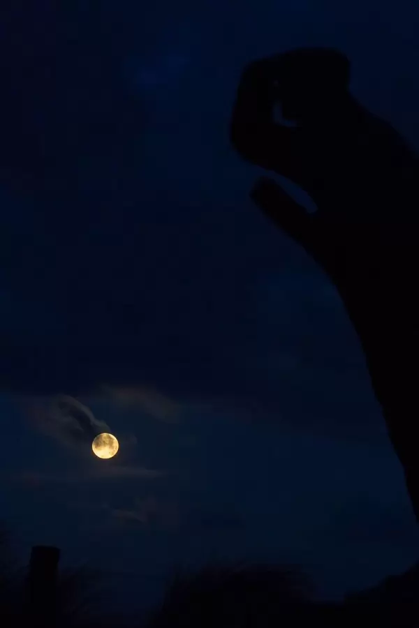 Full moon with a staute in the foreground