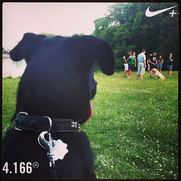 Full of fuel, want to play... #6Kcounts