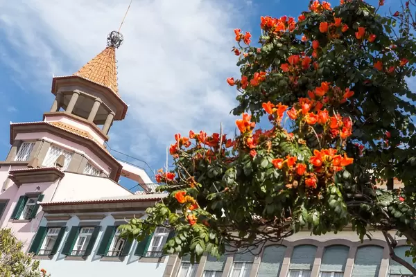 Funchal, Madeira (Portugal)