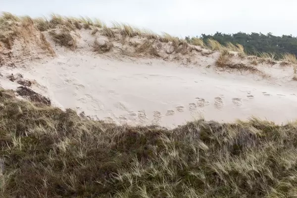 Fußabdrücke im Sand an einer Sanddüne