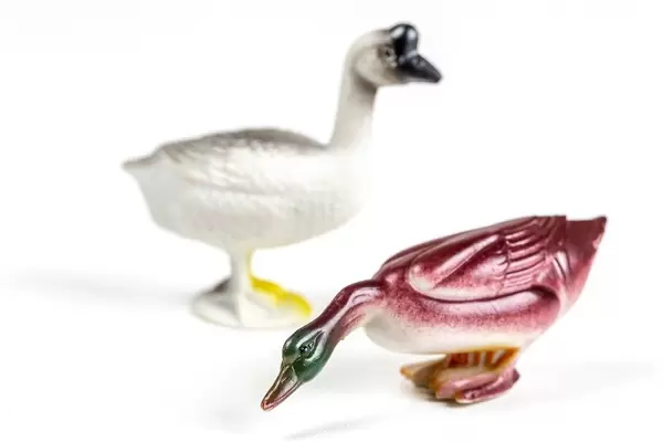 Gander and duck toy figures on a white background