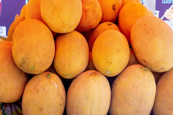 Ganze, goldgelbe Galia-Melonen liegen an Marktstand zum Verkauf bereit