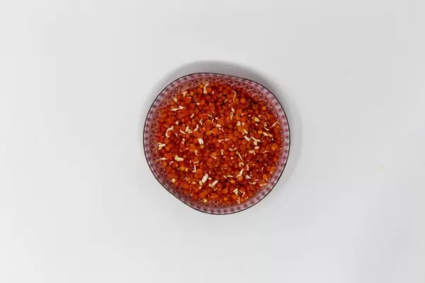 Ganze rote Linsen und Kokosraspeln in einer indischen Würzmischung von Davert, von oben fotografiert