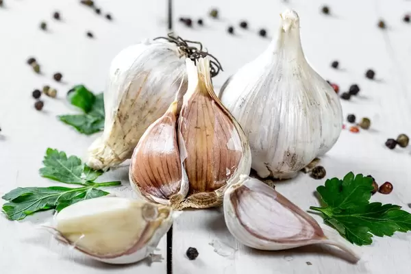 Ganze und teilweise geöffnete Knoblauchknollen mit Petersilie und Pfefferkörnern auf weißem Tisch