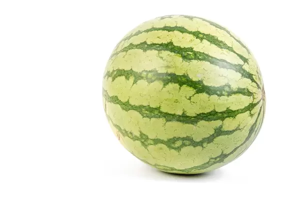 Ganze Wassermelone vor weißem Hintergrund