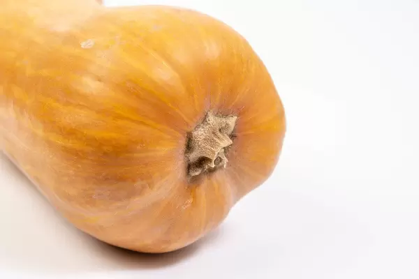 Ganzer Kürbis vor weißem Hintergrund