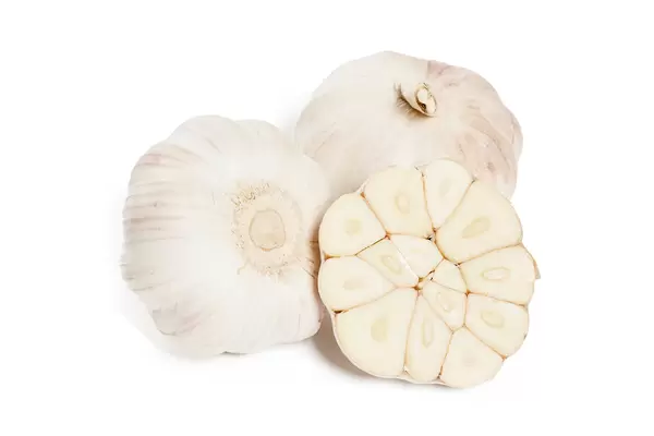 Garlic Isolated against a white background