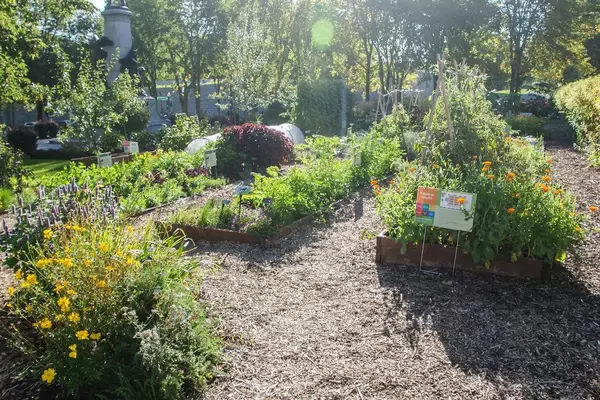 Garten mit Blumen und Gemüsepflanzen
