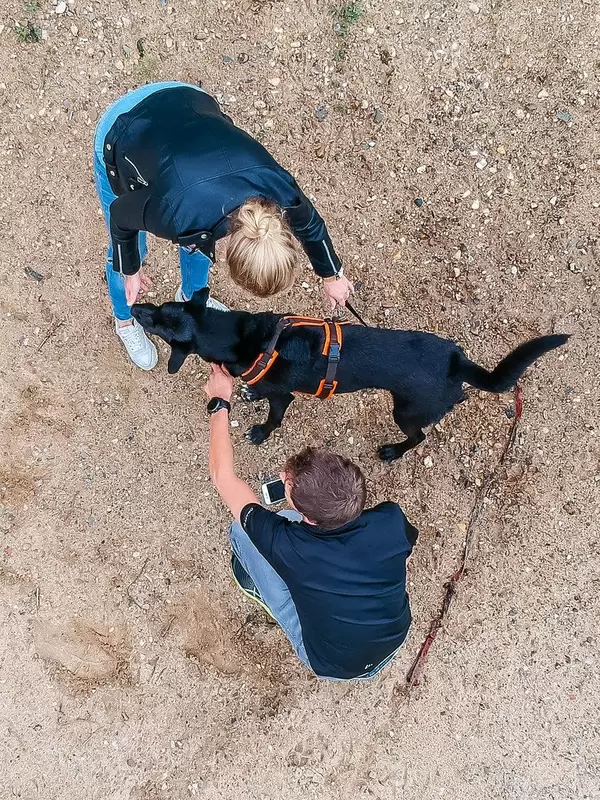 Gassigehen mit der DJI Spark