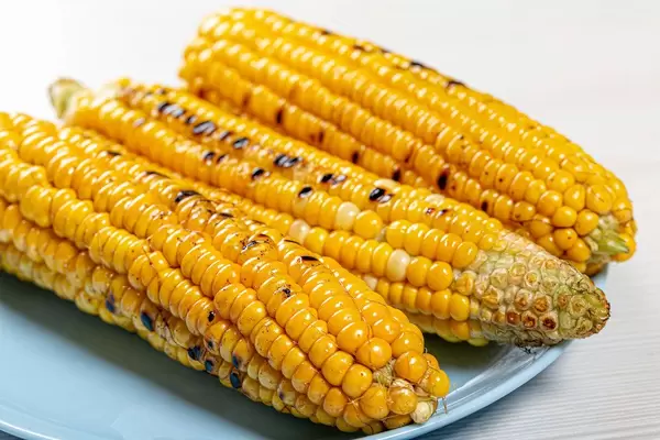 Gegrillte junge, gelbe Maiskolben