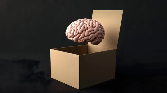 Gehirn in offener Box - Abstrakte Konzeptfotografie