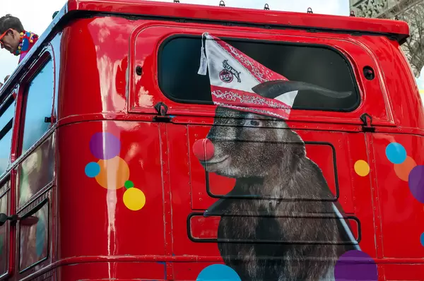 Geißbock 1. FC Köln