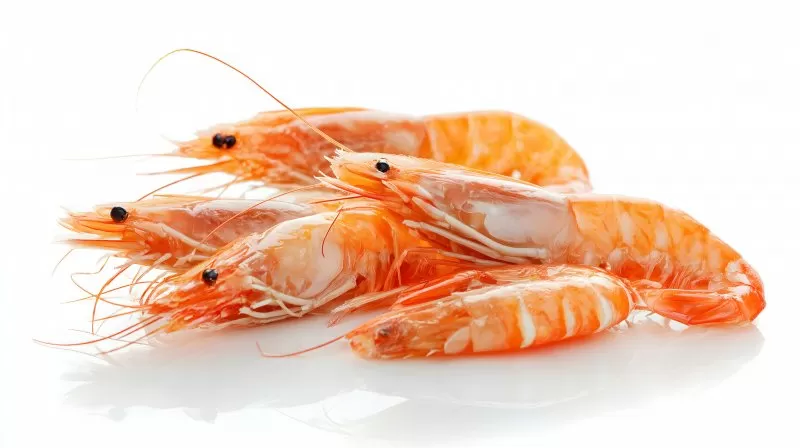 Gekochte Garnelen isoliert auf Weiß