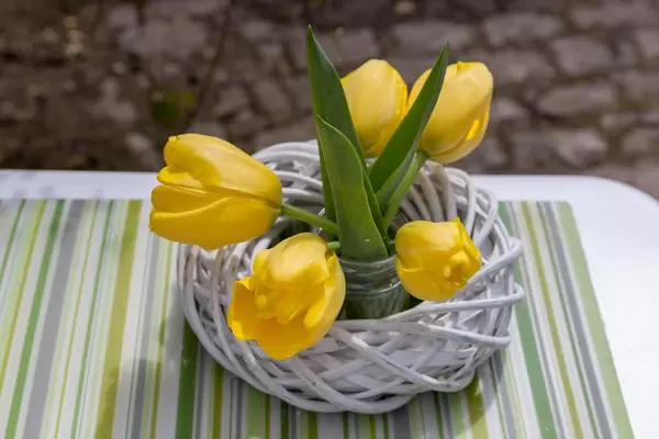 Gelbe Tulpen als Tischdekoration