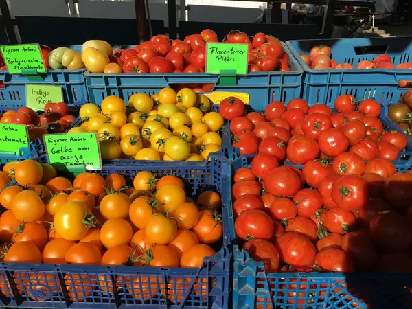 Gelbe und rote Tomaten