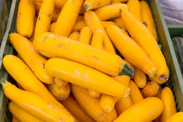 Gelbe Zucchini am Naschmarkt in Wien