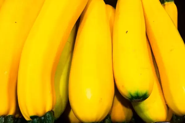 Gelbe Zucchini
