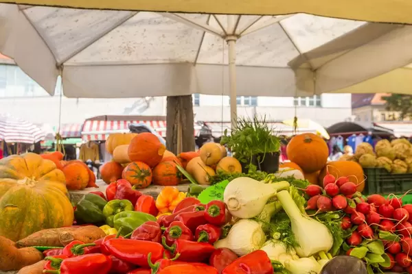 Gemüse auf dem Markt in Ljubljana - Kürbisse, Paprika, Fenchel, Radischen und Rüben