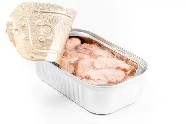 Geöffnete Konservendose Kabeljau auf weißem Hintergrund
