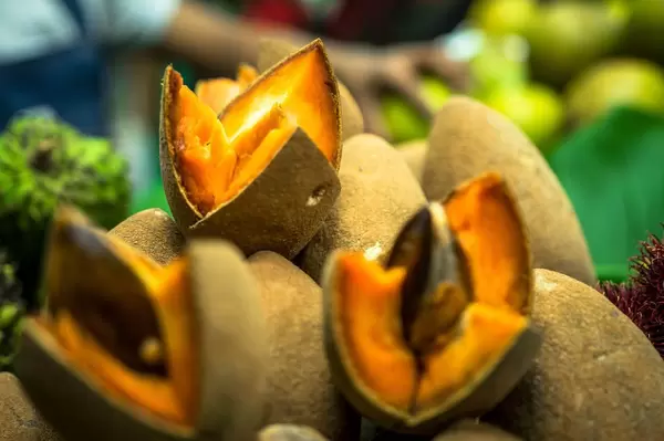 Braune, exotische Frucht mit Kern - Zapote