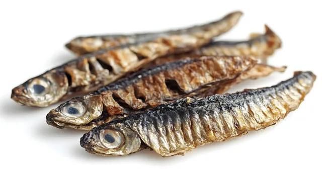 Geräucherte Makrelen auf weißem Hintergrund