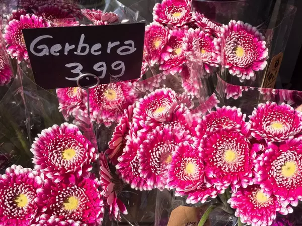 Gerbera Blumenstrauß