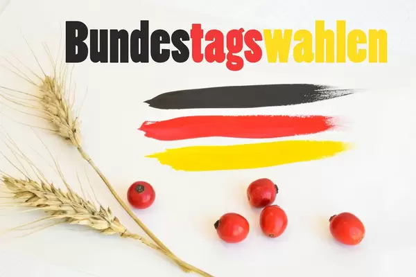 Germany Election 2017