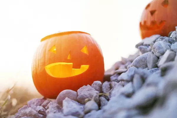 Geschnitzte, beleuchtete Halloweenkürbisse auf Kies