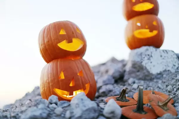 Geschnitzte Kürbisse als Halloween-Deko auf einem steinigen Boden