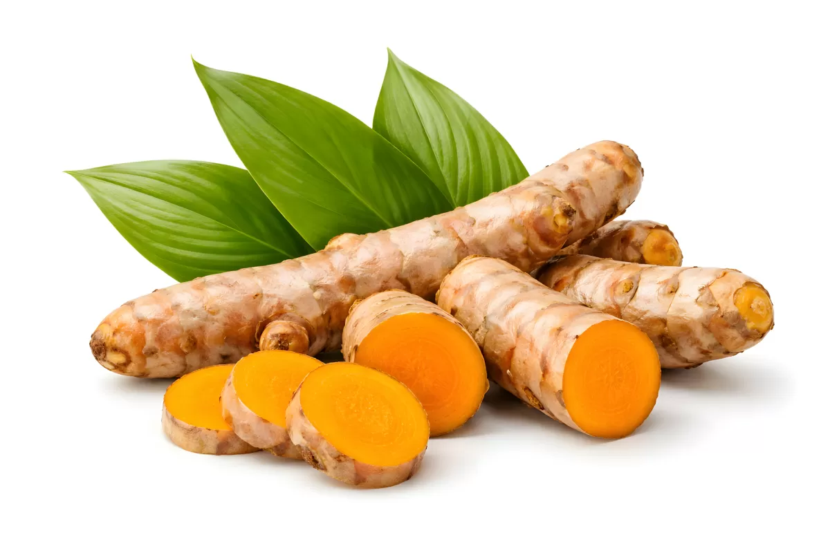 Gesunde Kurkuma-Wurzeln vor grünen Blättern