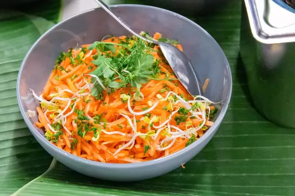 Gesunder Möhrensalat mit Sprossen und grünen Kräutern, in einer Schale beim AXA Barcamp OMWest19 in Köln