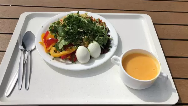 Gesundes Mittagessen in der Mensa Kantine der Sporthochschule Köln, mit Eiern, Paprika, Feldsalat und Eigelb-Drink