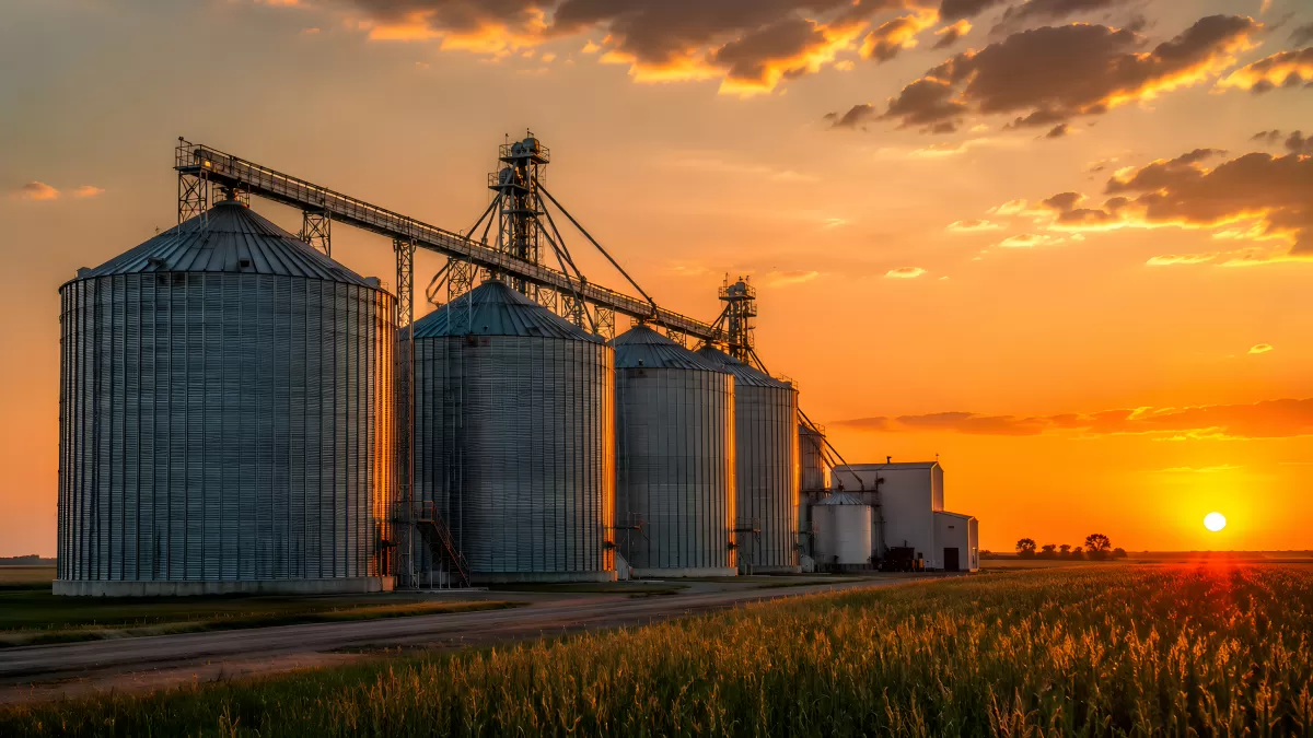 Getreidesilos im goldenen Abendlicht der Prärie