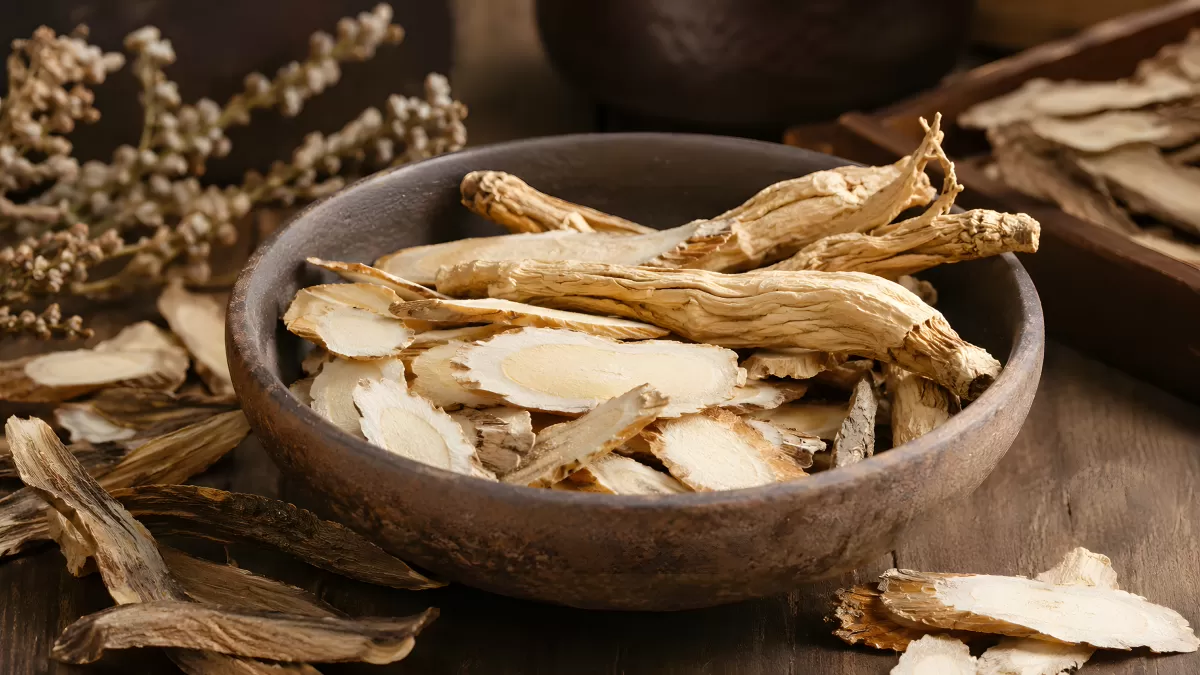 Getrocknete Astragalus-Wurzel in Tonschale auf Holz