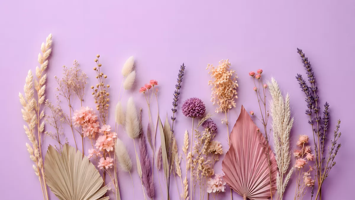 Getrocknete Blumen auf lavendelfarbenem Hintergrund