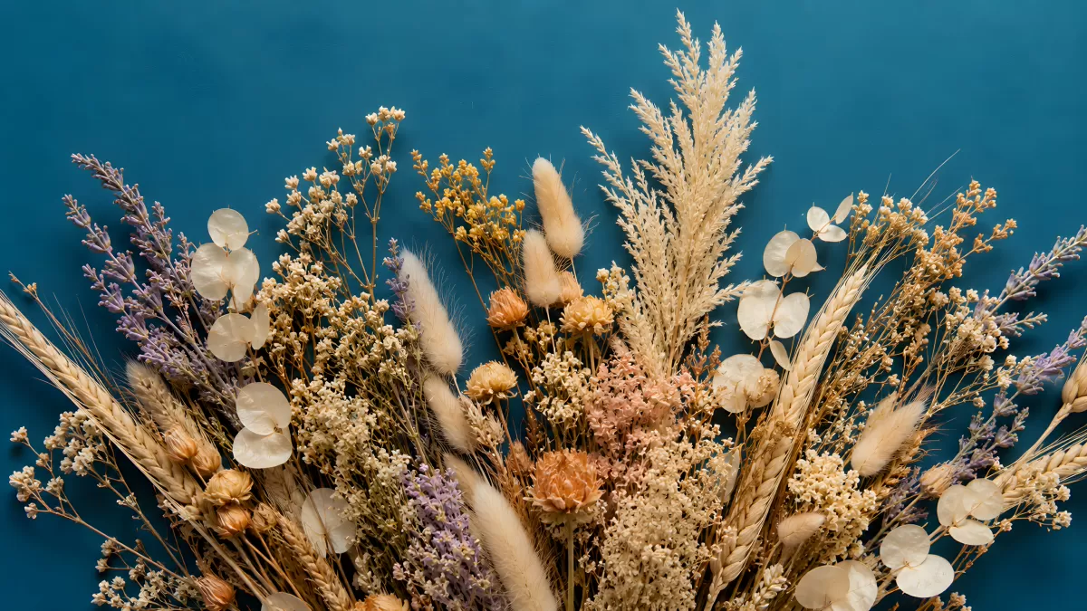 Getrocknete Blumen und Gräser vor blauem Hintergrund