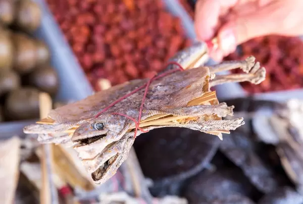 Getrocknete Echsen am Stock