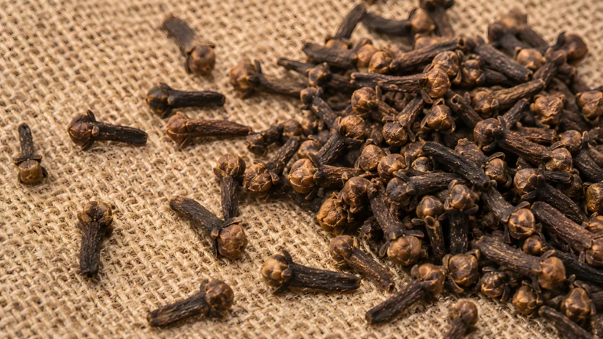Getrocknete Gewürznelken auf Jutestoff – Nahaufnahme