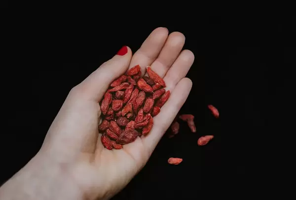 Getrocknete Goji-Beeren in einer Hand im Studio, vor schwarzem Hintergrund