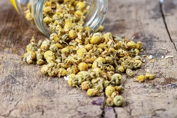 Getrocknete Kamillenblüten, die aus einem Glasgefäß auf einem Holzhintergrund auslaufen