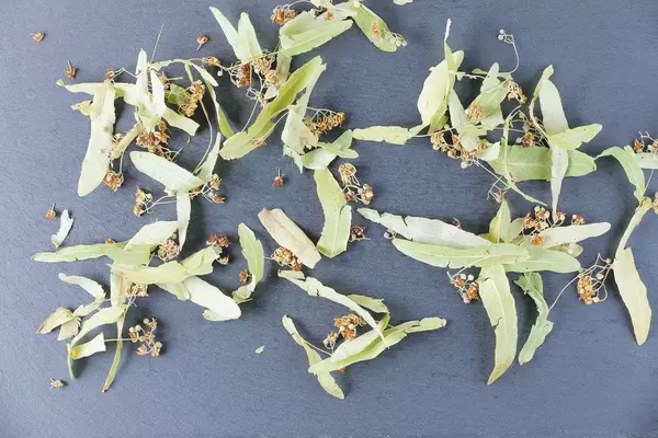 Getrocknete Lindenblüten auf schwarzer Oberfläche in obene Aufnahme