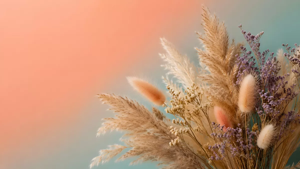 Getrocknete Pampasgras-Bouquet vor pastellfarbenem Hintergrund
