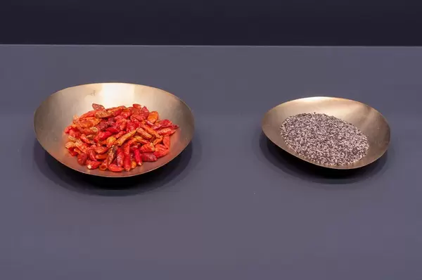 Getrocknete Paprika und Saatgut in zwei Blechtellern