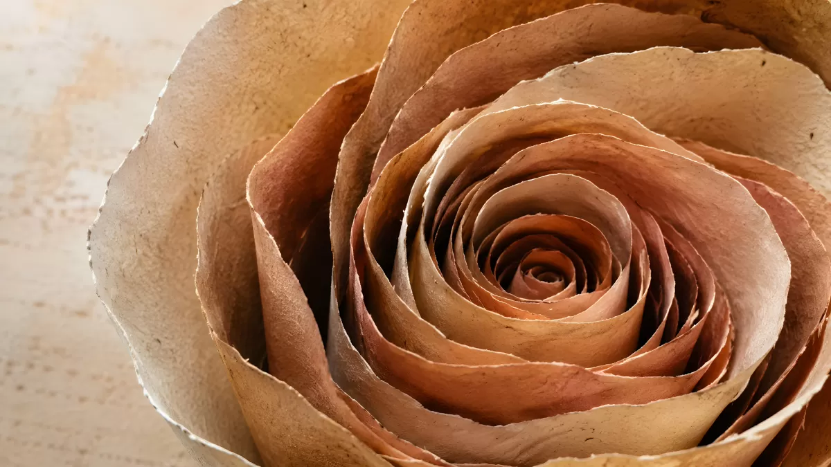 Getrocknete Rose in Erdtönen – Nahaufnahme