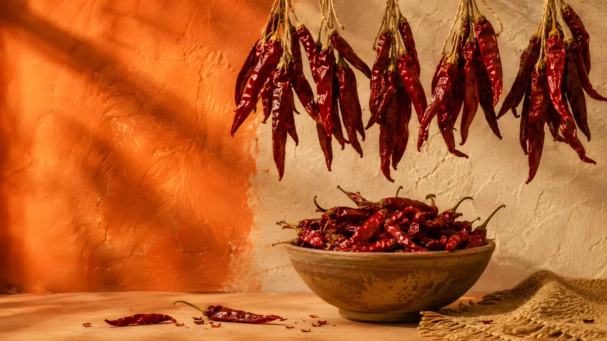 Getrocknete rote Chilischoten in rustikaler Schale