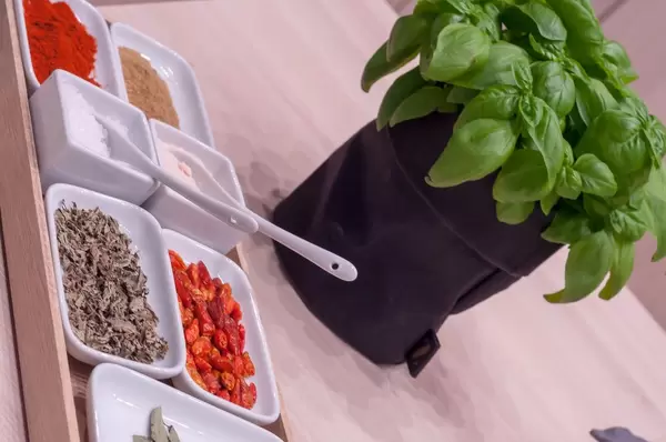 Gewürze und Basilikum Küchenpflanze