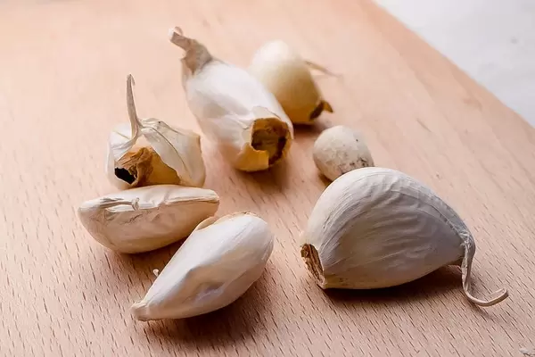 Gewürzpflanze, Heilpflanze und gegen Vampire