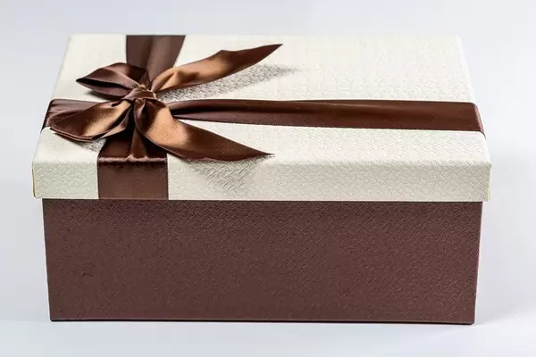 Gift box with brown ribbon and bow on white background