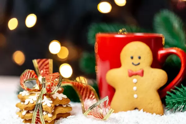 Ginger cookies with a Cup of tea on the background of snow and light garland