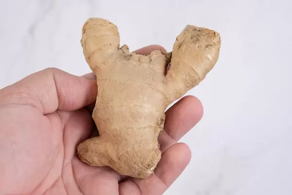 Ginger in the hand above grey marble